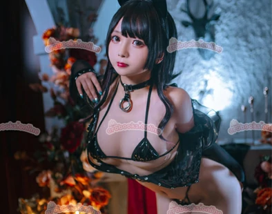 日奈娇 – 皮衣系列 猫猫领域 [123P2V]